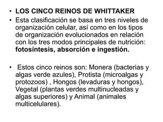 • LOS CINCO REINOS DE WHITTAKER 
• Esta clasificación se basa en tres niveles de 
organización celular, así como en los tipos 
de organización evolucionados en relación 
con los tres modos principales de nutrición: 
fotosíntesis, absorción e ingestión. 
• Estos cinco reinos son: Monera (bacterias y 
algas verde azules), Protista (microalgas y 
protozoos) , Hongos (levaduras y hongos), 
Vegetal (plantas verdes multinucleadas y 
algas superiores) y Animal (animales 
multicelulares). 
 