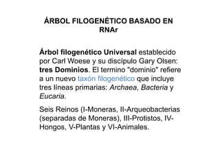 ÁRBOL FILOGENÉTICO BASADO EN 
RNAr 
Árbol filogenético Universal establecido 
por Carl Woese y su discípulo Gary Olsen: 
tres Dominios. El termino "dominio" refiere 
a un nuevo taxón filogenético que incluye 
tres líneas primarias: Archaea, Bacteria y 
Eucaria. 
Seis Reinos (I-Moneras, II-Arqueobacterias 
(separadas de Moneras), III-Protistos, IV-Hongos, 
V-Plantas y VI-Animales. 
 