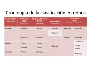 Cronología de la clasificación en reinos 
Haeckel (1969) 
Tres reinos 
Whittaker 
(1969) 
Cinco reinos 
Margulis y Schwartz 
(1980) 
Cinco reinos 
Woese (1990) 
Tres dominios 
Cavalier-Smith 
(1998) 
Tres supra reinos y seis reinos 
Protista Monera Monera Archae Prokaryota Bacterias 
Bacteria 
Protista Protoctista 
Eukarya 
Eucakyota Protozoos 
Chromistas 
Plantae Fungi Hongos 
Hongos 
Plantae Plantas 
Plantas 
Animalia Animalia Animales 
Animales 
 