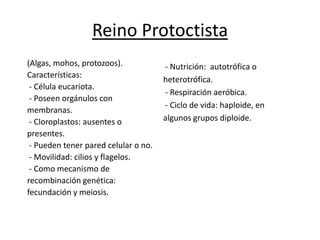 Reino Protoctista
(Algas, mohos, protozoos).            - Nutrición: autotrófica o
Características:
                                      heterotrófica.
 - Célula eucariota.
                                      - Respiración aeróbica.
 - Poseen orgánulos con
                                      - Ciclo de vida: haploide, en
membranas.
 - Cloroplastos: ausentes o           algunos grupos diploide.
presentes.
 - Pueden tener pared celular o no.
 - Movilidad: cilios y flagelos.
 - Como mecanismo de
recombinación genética:
fecundación y meiosis.
 