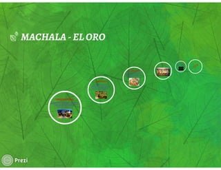 Rubrica 1 jose roman