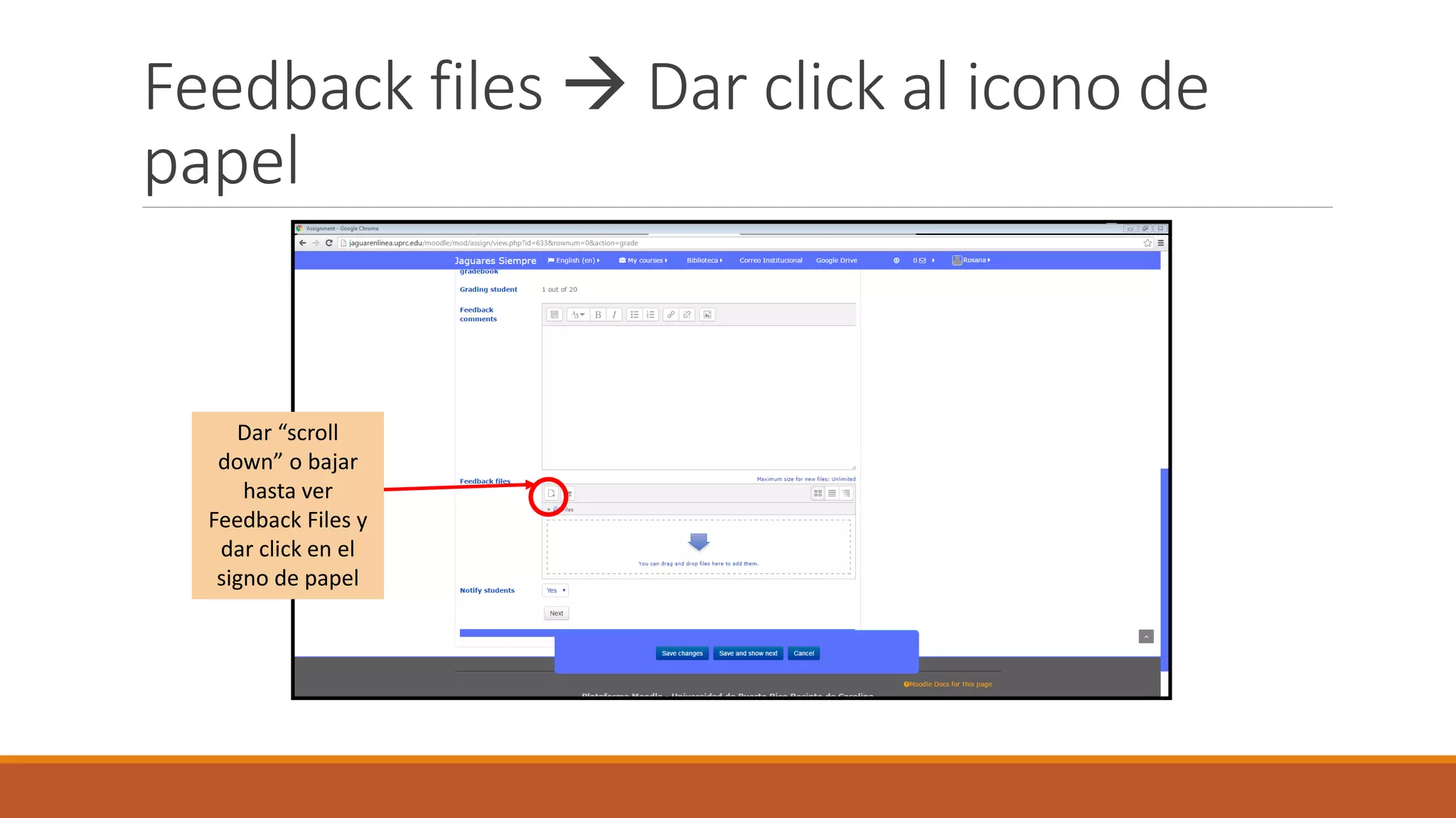 Feedback files  Dar click al icono de
papel
Dar “scroll
down” o bajar
hasta ver
Feedback Files y
dar click en el
signo de papel
 