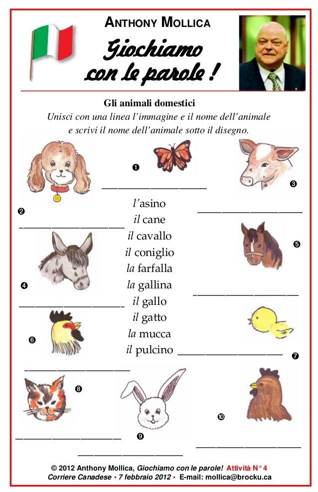 Animali Con La N Italiano marshaaq