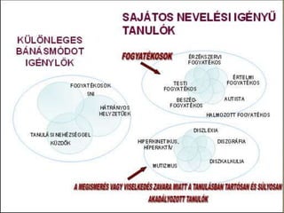 Rubrica előadás