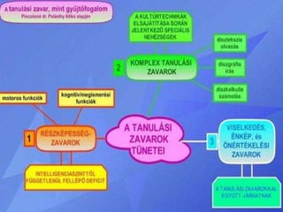 Rubrica előadás