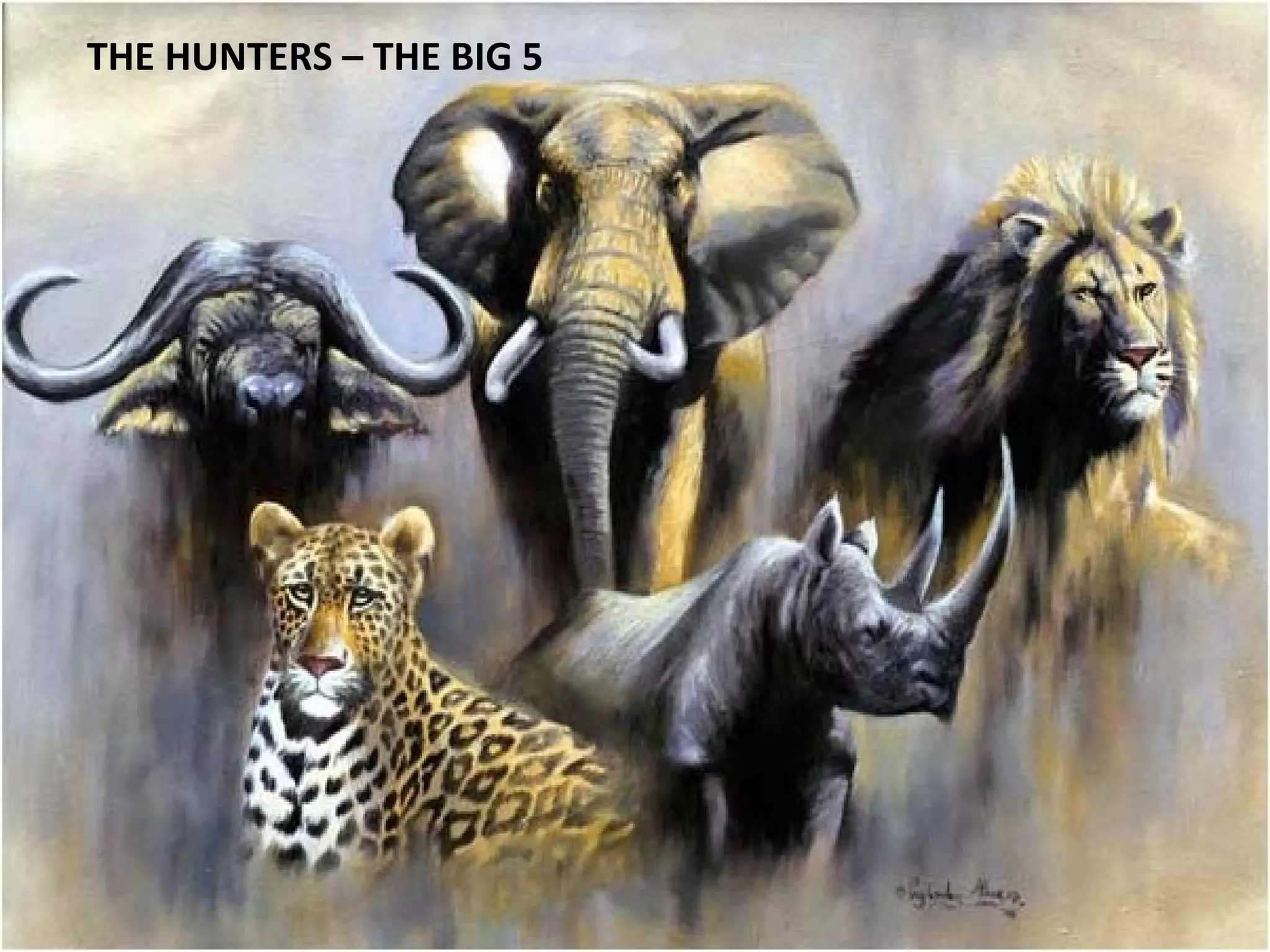 THE HUNTERS – THE BIG 5
 