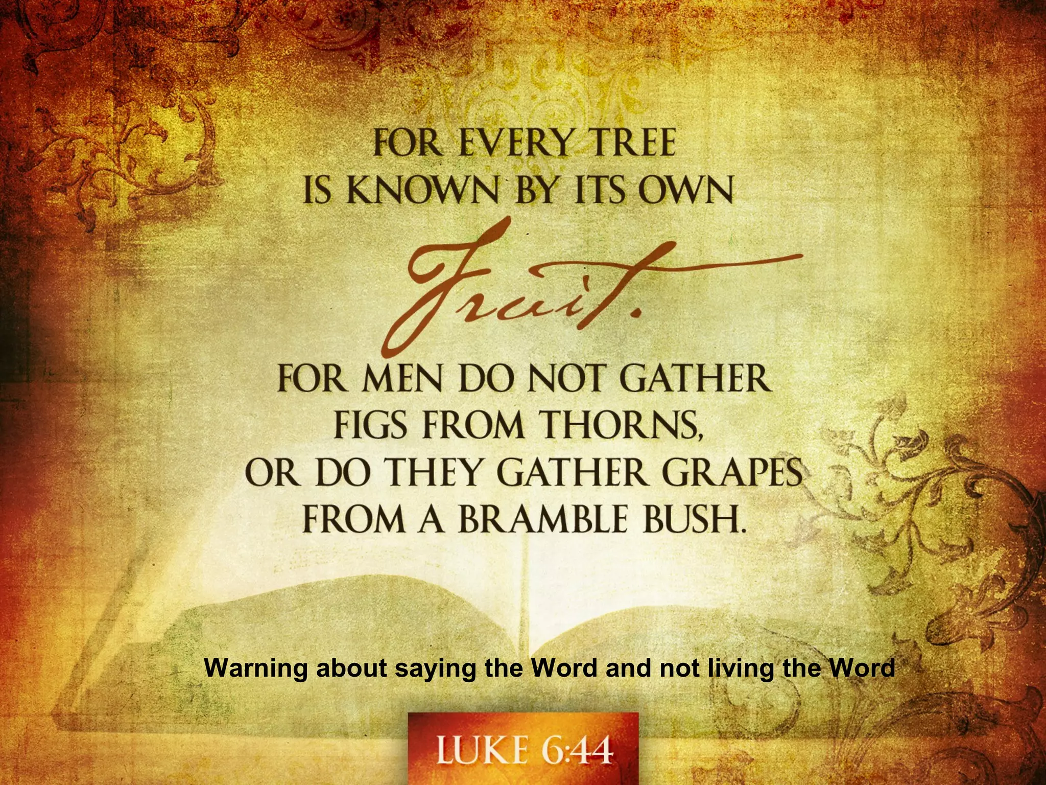 Warning about saying the Word and not living the Word
 