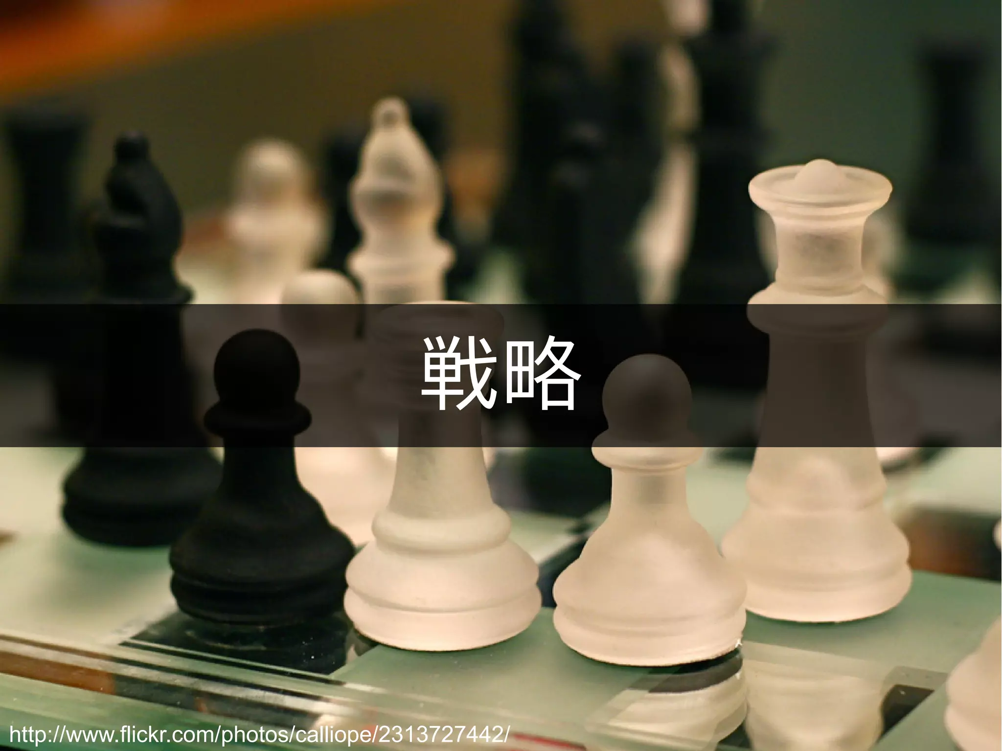 戦略



http://www.flickr.com/photos/calliope/2313727442/
 