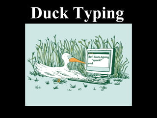 Duck Typing
 