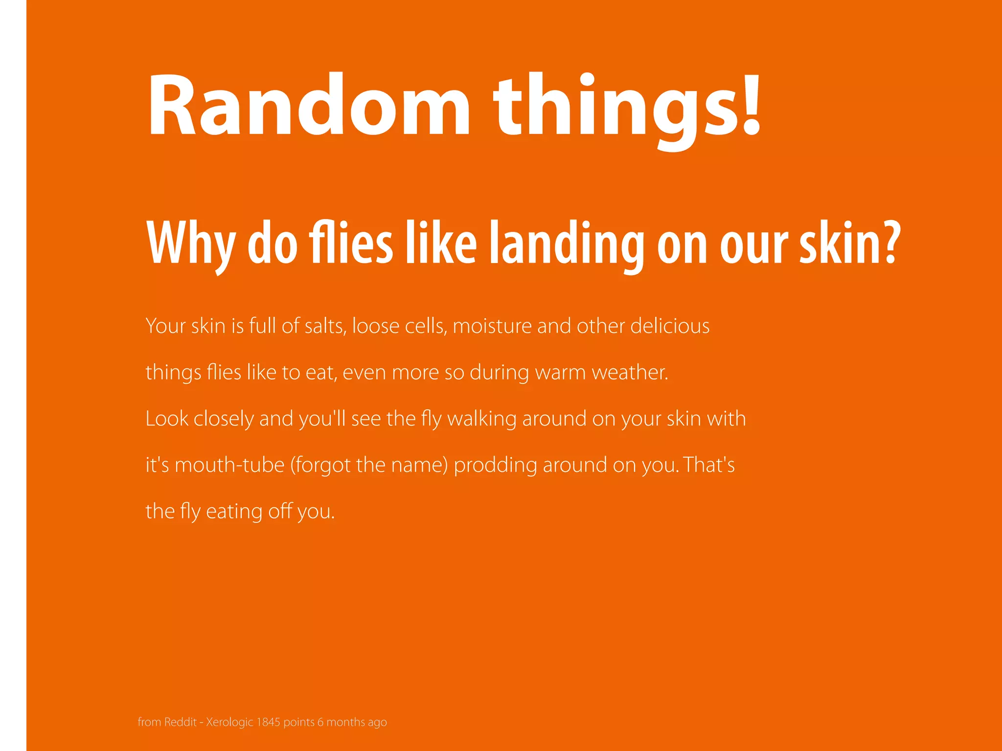 Random things!
Your skin is full of salts, loose cells, moisture and other delicious
things ﬂies like to eat, even more so during warm weather.
Look closely and you'll see the ﬂy walking around on your skin with
it's mouth-tube (forgot the name) prodding around on you. That's
the ﬂy eating oﬀ you.
Why do ﬂies like landing on our skin?
from Reddit - Xerologic 1845 points 6 months ago
 