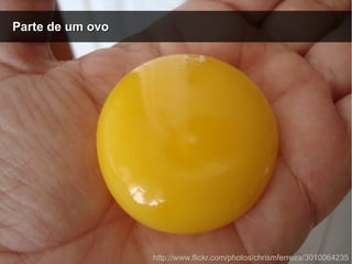 Parte de um ovoParte de um ovo
http://www.flickr.com/photos/chrismferreira/3010064235
 
