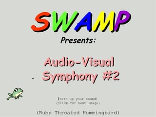 S W A M P Presents:   Audio-Visual  Symphony #2 ( turn up your sound) (click for next image) (Ruby Throated Hummingbird) Swamp   Water   And  Mud   Productions 