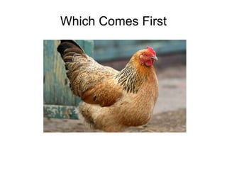 Which Comes First 
