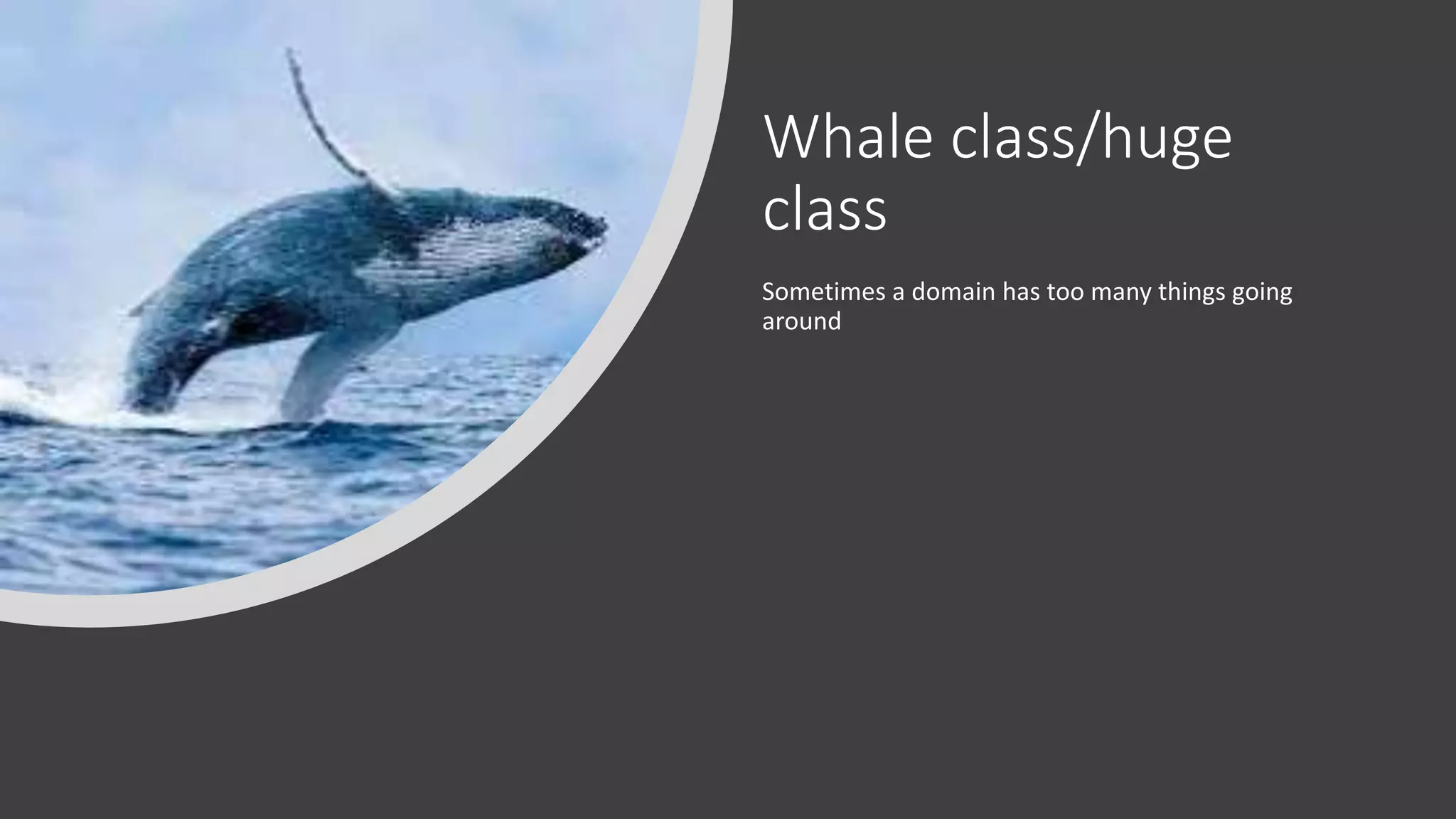 Whale class/huge class Sometimes a domain has too many things going around 
