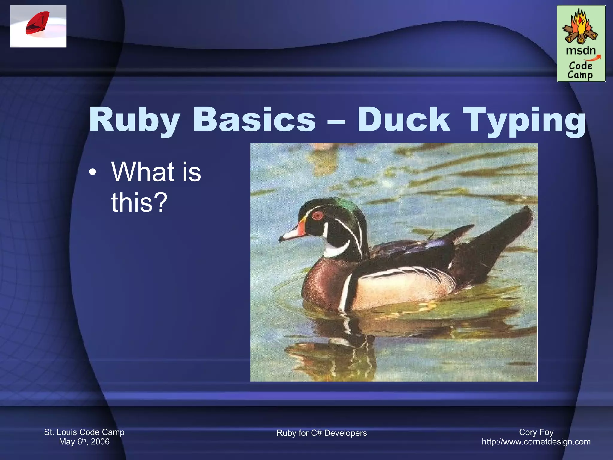Ruby Basics – Duck Typing What is this? 