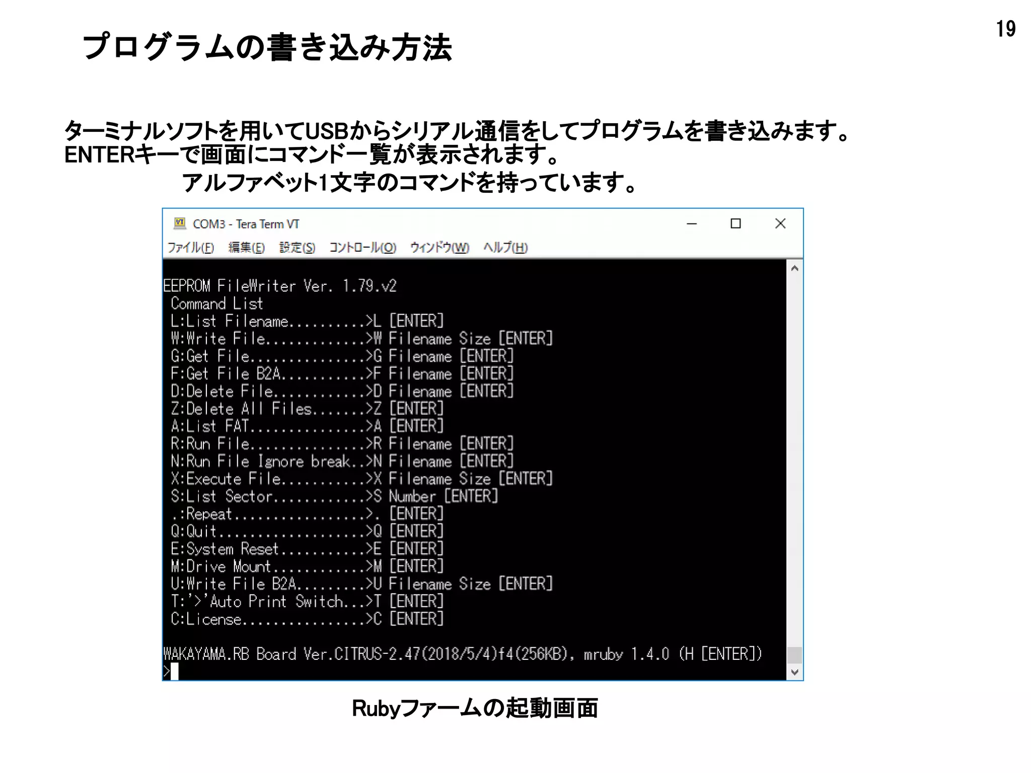 19
プログラムの書き込み方法
ターミナルソフトを用いてUSBからシリアル通信をしてプログラムを書き込みます。
ENTERキーで画面にコマンド一覧が表示されます。
Rubyファームの起動画面
アルファベット1文字のコマンドを持っています。
 