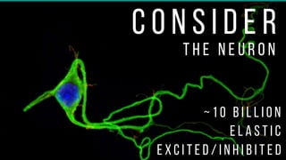 C o n s i d e r
t h e n e u r o n
~ 1 0 b i l l i o n
E x c i t e d / i n h i b i t e d
e l a s t i c
 