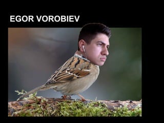 EGOR VOROBIEV
 