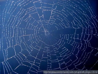 http://pixabay.com/en/spider-web-net-grid-silk-drops-13516/ 
 