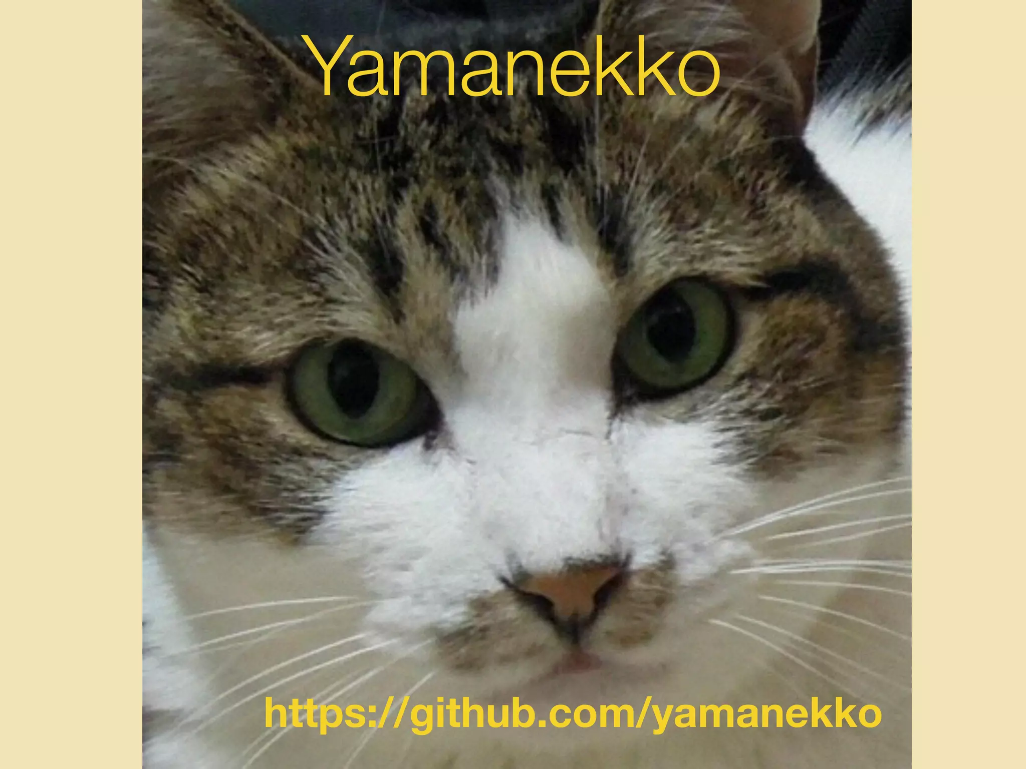 Yamanekko
https://github.com/yamanekko
 