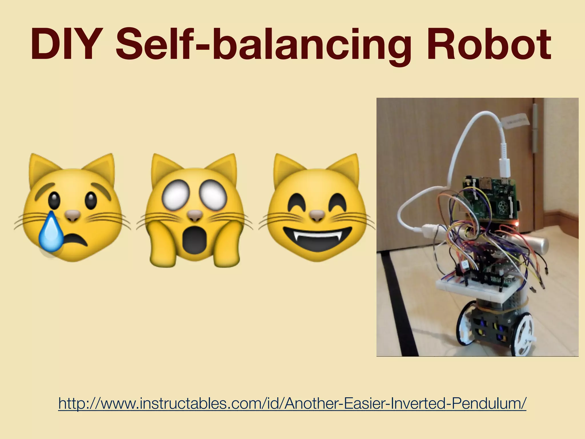 DIY Self-balancing Robot
😿🙀😸
http://www.instructables.com/id/Another-Easier-Inverted-Pendulum/
 