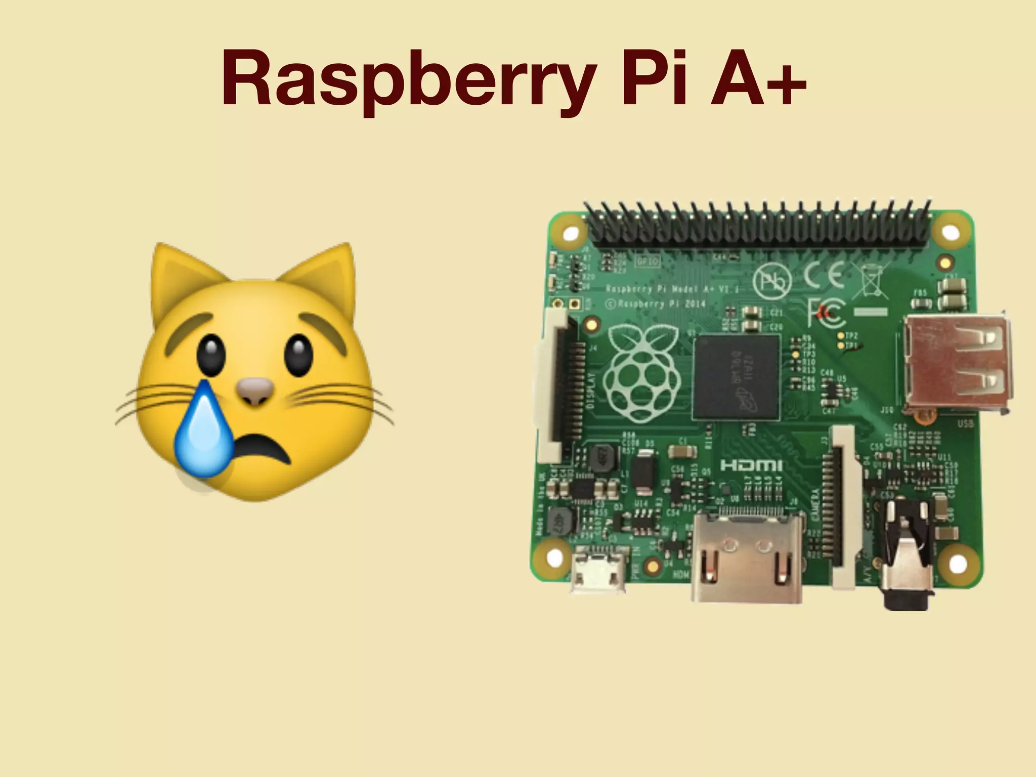 Raspberry Pi A+
😿
 
