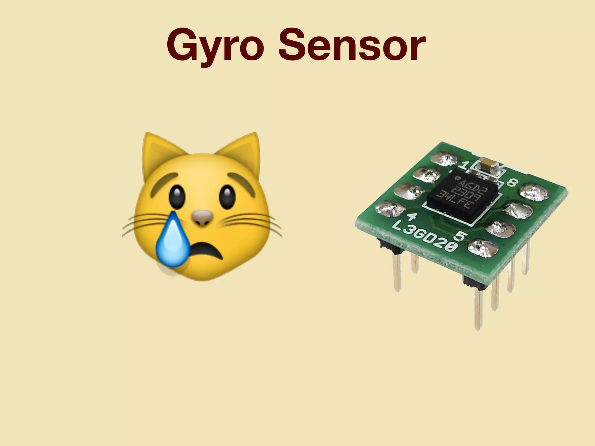 Gyro Sensor
😿
 