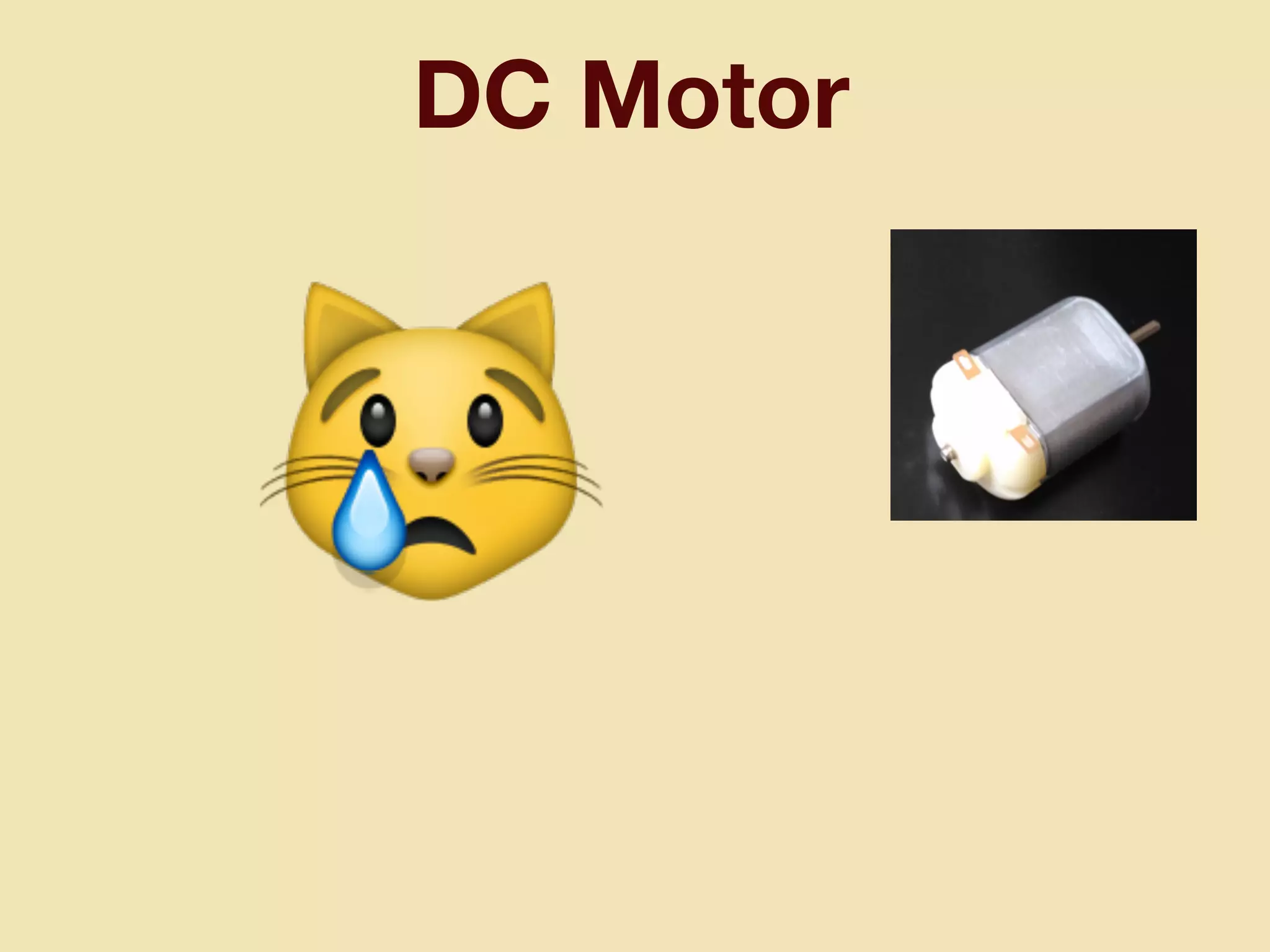 DC Motor
😿
 