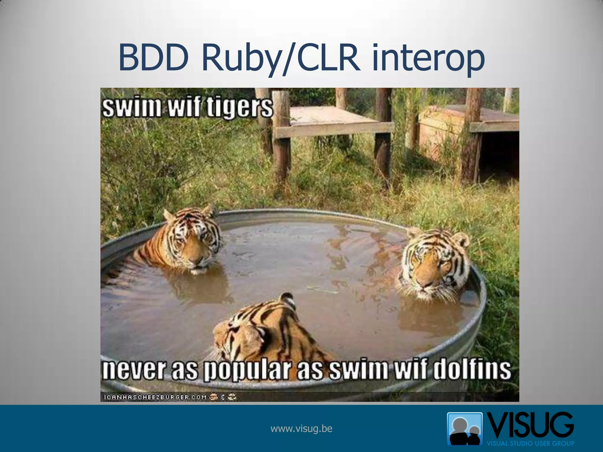 BDD Ruby/CLR interop