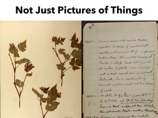 Not Just Pictures of Things
 