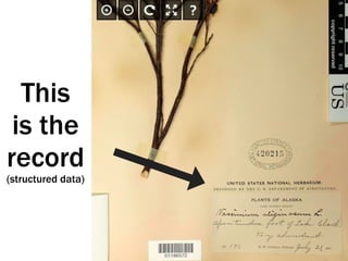 This
is the
record
(structured data)
 