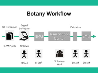 Botany Workflow
EMU
Transcription
Center
US Herbarium
3.7M Plants
Digital
Surrogate
1000/wk
EMU
SI Staff
Volunteer
Work
SI Staff SI StaffSI Staff
Validation
 