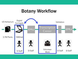 Botany Workflow
EMU
Transcription
Center
US Herbarium
3.7M Plants
Digital
Surrogate
1000/wk
EMU
SI Staff
Volunteer
Work
SI Staff SI StaffSI Staff
Validation
 