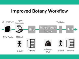 Improved Botany Workflow
EMU
Transcription
Center
US Herbarium
3.7M Plants
Digital
Surrogate
1000/wk
EMU
SI Staff
Volunteer
Work
Software SI Staff
Validation
Software
 