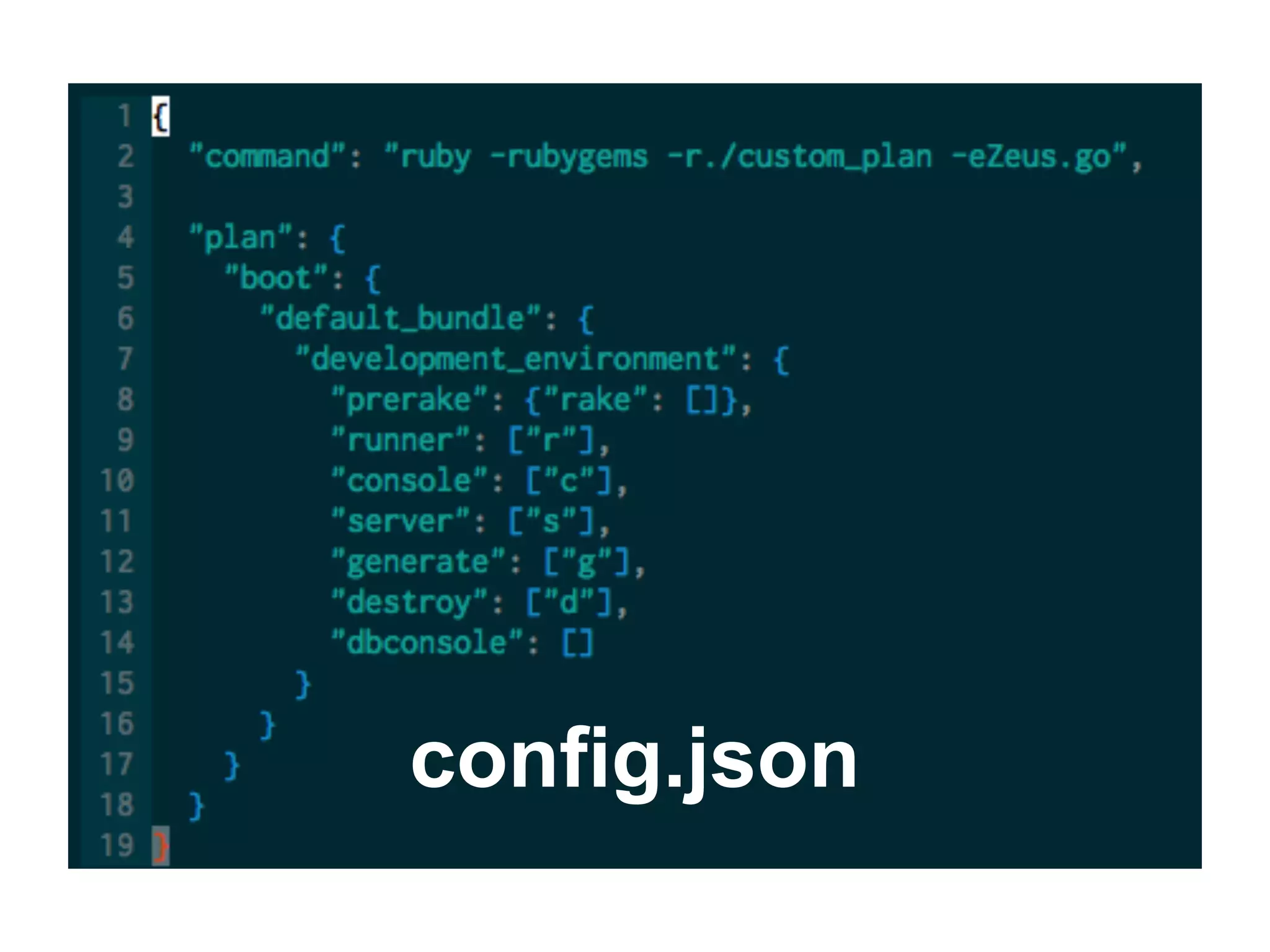 config.json
 