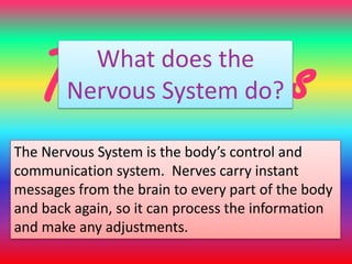 The Nervous
          What does the
        Nervous System do?


     System
The Nervous System is the body’s control and
communication system. Nerves carry instant
messages from the brain to every part of the body
and back again, so it can process the information
and make any adjustments.
 