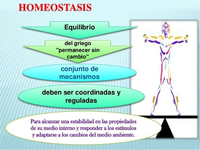 Caracterizticas de los seres vivos