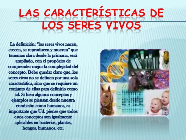 Caracterizticas de los seres vivos