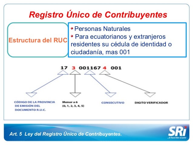 Tipos De Contribuyentes  tipos de contribuyentes de una 