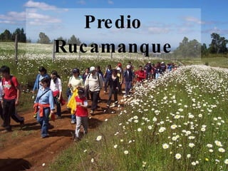 Predio Rucamanque 