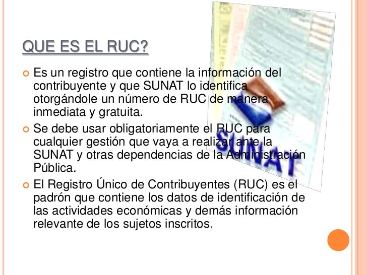 Ruc deysi Ruc deysi