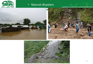 Natural disasters 