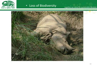 Loss of Biodiversity 