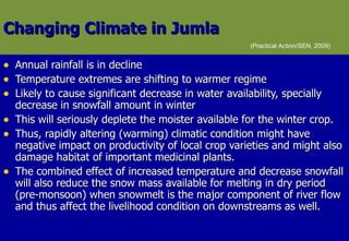 Changing Climate in Jumla Annual rainfall is in decline Temperature extremes are shifting to warmer regime Likely to cause significant decrease in water availability, specially decrease in snowfall amount in winter  This will seriously deplete the moister available for the winter crop.  Thus, rapidly altering (warming) climatic condition might have negative impact on productivity of local crop varieties and might also damage habitat of important medicinal plants.  The combined effect of increased temperature and decrease snowfall will also reduce the snow mass available for melting in dry period (pre-monsoon) when snowmelt is the major component of river flow and thus affect the livelihood condition on downstreams as well.  (Practical Action/SEN, 2009) 