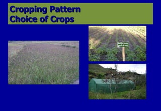 Cropping Pattern Choice of Crops 