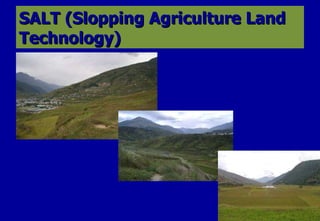 SALT (Slopping Agriculture Land Technology)  