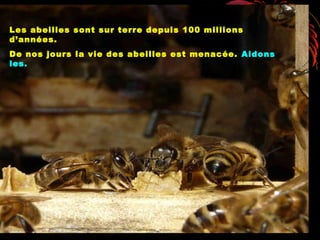 Les abeilles sont sur terre depuis 100 millions
d’années.
De nos jours la vie des abeilles est menacée. Aidons
les.
 