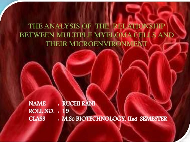 analysis of clausewitzs interrelationship between analysis of clausewitzs interrelationship between
