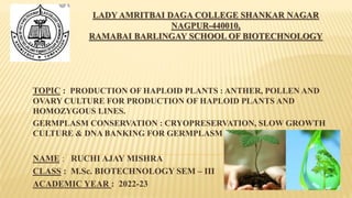 LADY AMRITBAI DAGA COLLEGE SHANKAR NAGAR
NAGPUR-440010,
RAMABAI BARLINGAY SCHOOL OF BIOTECHNOLOGY
TOPIC : PRODUCTION OF HAPLOID PLANTS : ANTHER, POLLEN AND
OVARY CULTURE FOR PRODUCTION OF HAPLOID PLANTS AND
HOMOZYGOUS LINES.
GERMPLASM CONSERVATION : CRYOPRESERVATION, SLOW GROWTH
CULTURE & DNA BANKING FOR GERMPLASM CONSERVATION.
NAME : RUCHI AJAY MISHRA
CLASS : M.Sc. BIOTECHNOLOGY SEM – III
ACADEMIC YEAR : 2022-23
 