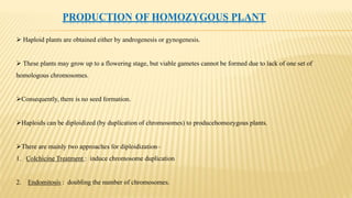 Haploid plant production and germplasm conservation of plants | PPTX